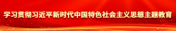 黄色席逼学习贯彻习近平新时代中国特色社会主义思想主题教育